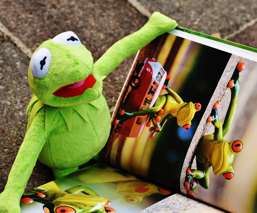 stuffed animals books, children game kermit-1673472_960_720