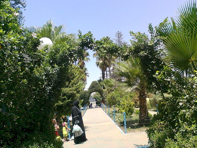 Gaza park, 2012