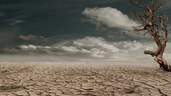 Climate Change causing drought