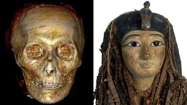 Egypt mummy sarcophagus