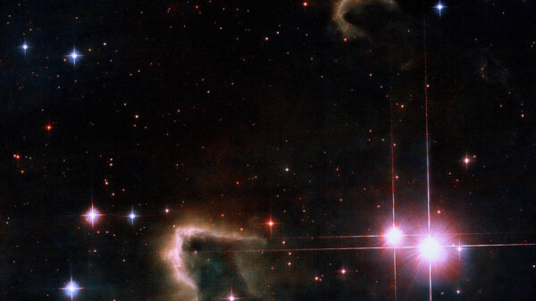 NASA hubble This image shows knots of cold, dense interstellar gas where new stars are forming.