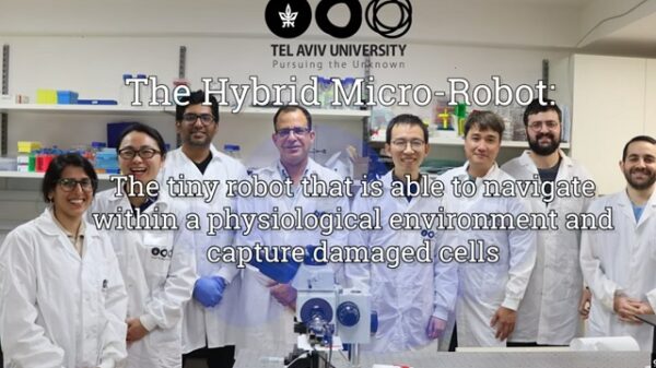 Hybrid Micro-Robot