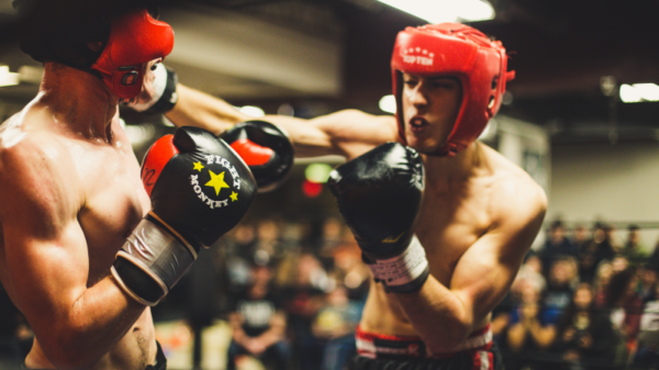 professional boxers for students