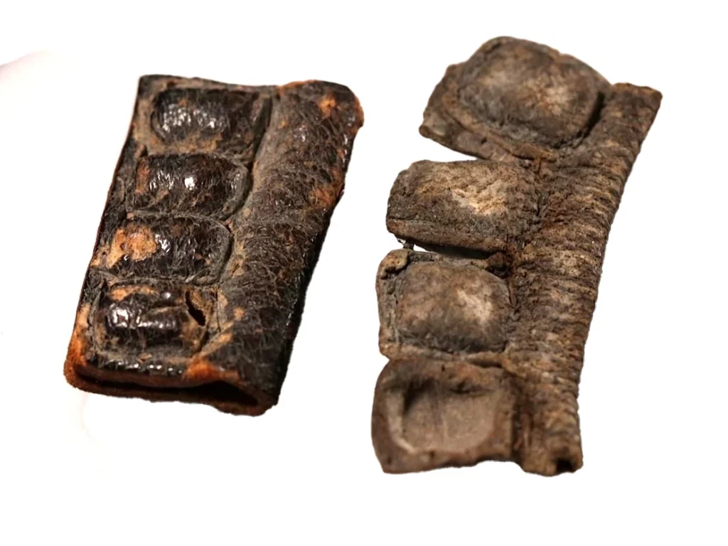 Tefillin Were Not Black 2,000 Years Ago